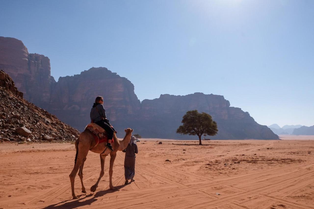 Wadi Rum Bedouin Camp And Desert Tours Exterior photo