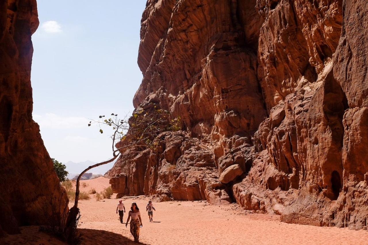 Wadi Rum Bedouin Camp And Desert Tours Exterior photo