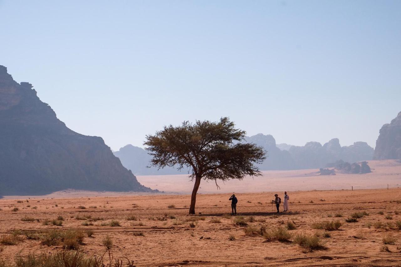 Wadi Rum Bedouin Camp And Desert Tours Exterior photo